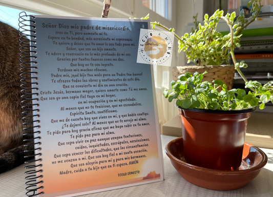 Libreta "Ofrecimiento del día"